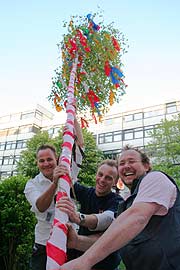 Die "kölsche" Art von Maibaum: Maibaum Setzen am 30.4.2007 im Coellner im Paragraph (Foto: Martin Schmitz)